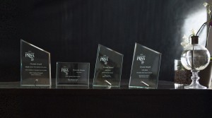Banner of the Stick Co awards