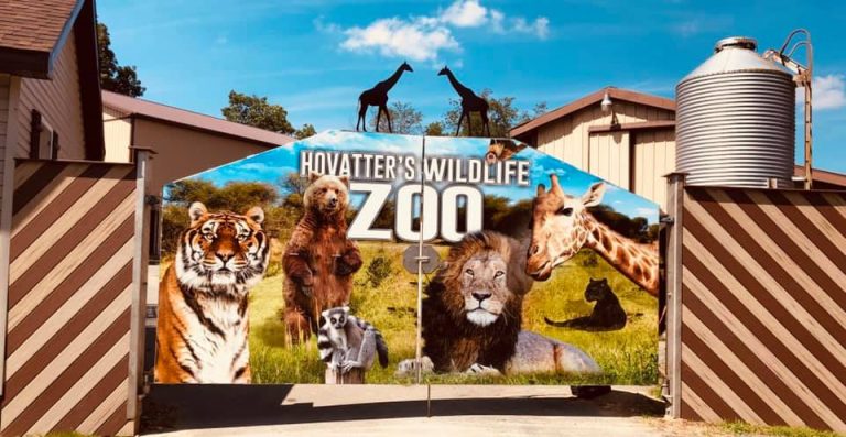 Getting Wild With Custom Building Wraps at Hovatter’s Zoo. - The Stick Co