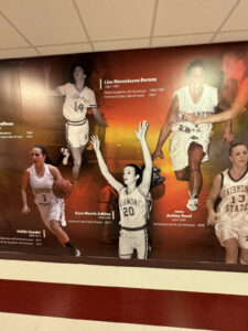 Athletic Team Wall Wrap