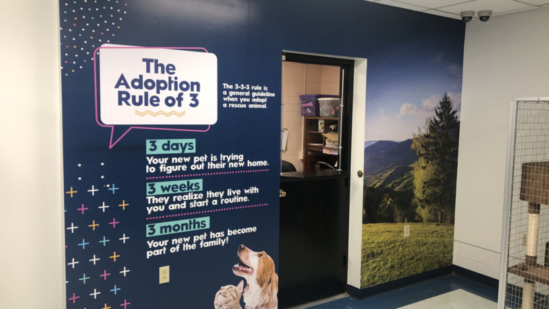 Customer-facing Wall Wrap